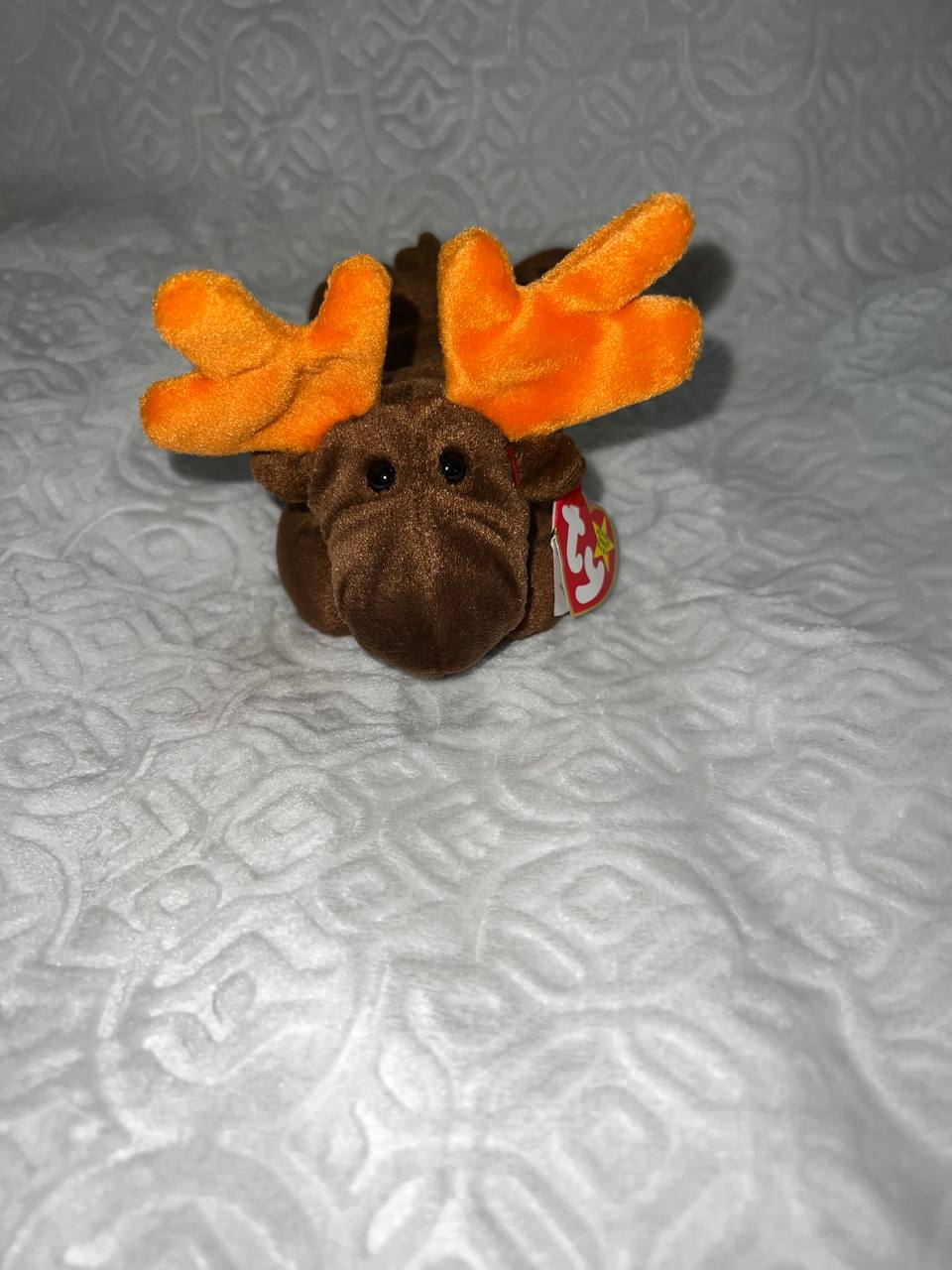 *RARE* MINT Chocolate 1993 Beanie Baby With Tag in Pristine Condition