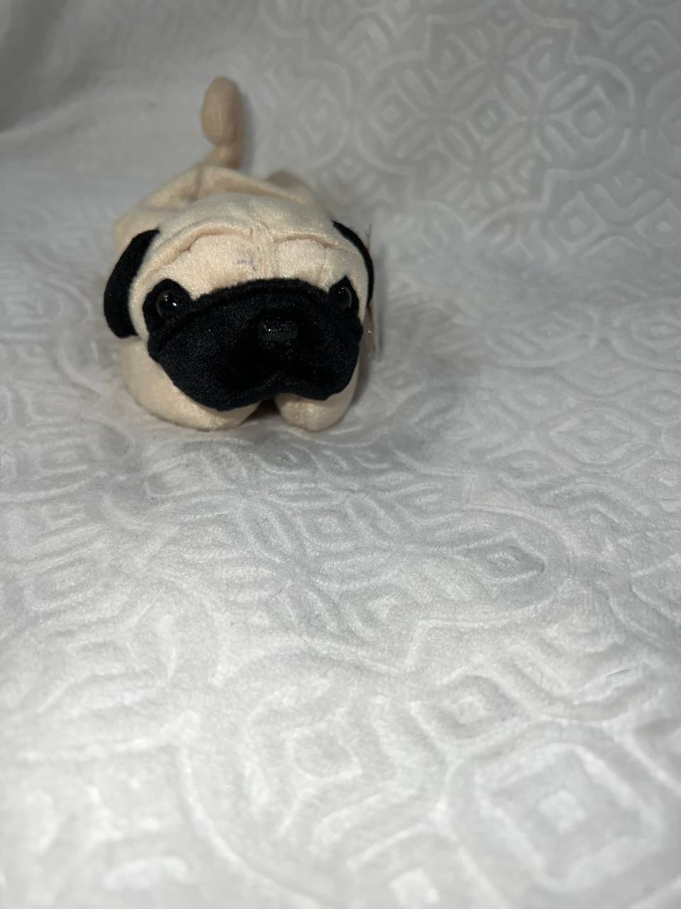 *RARE* MINT Pugsly 1996 Beanie Baby With Tag in Pristine Condition